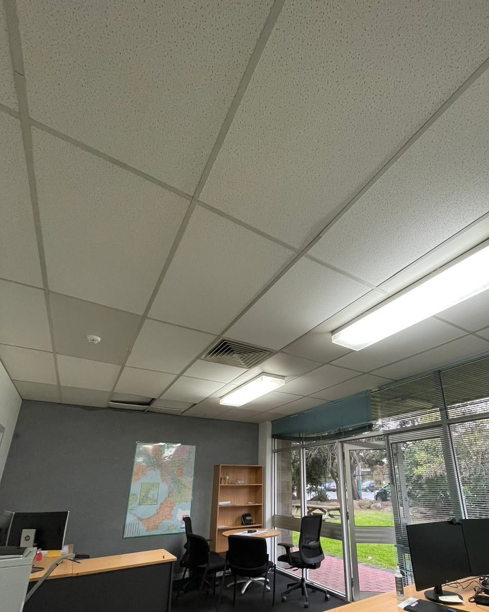 Office fit-out repaint